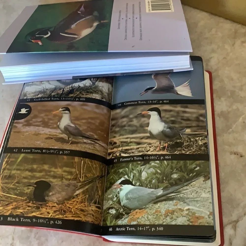 2 Bird Reference Books - Picture 7 of 8